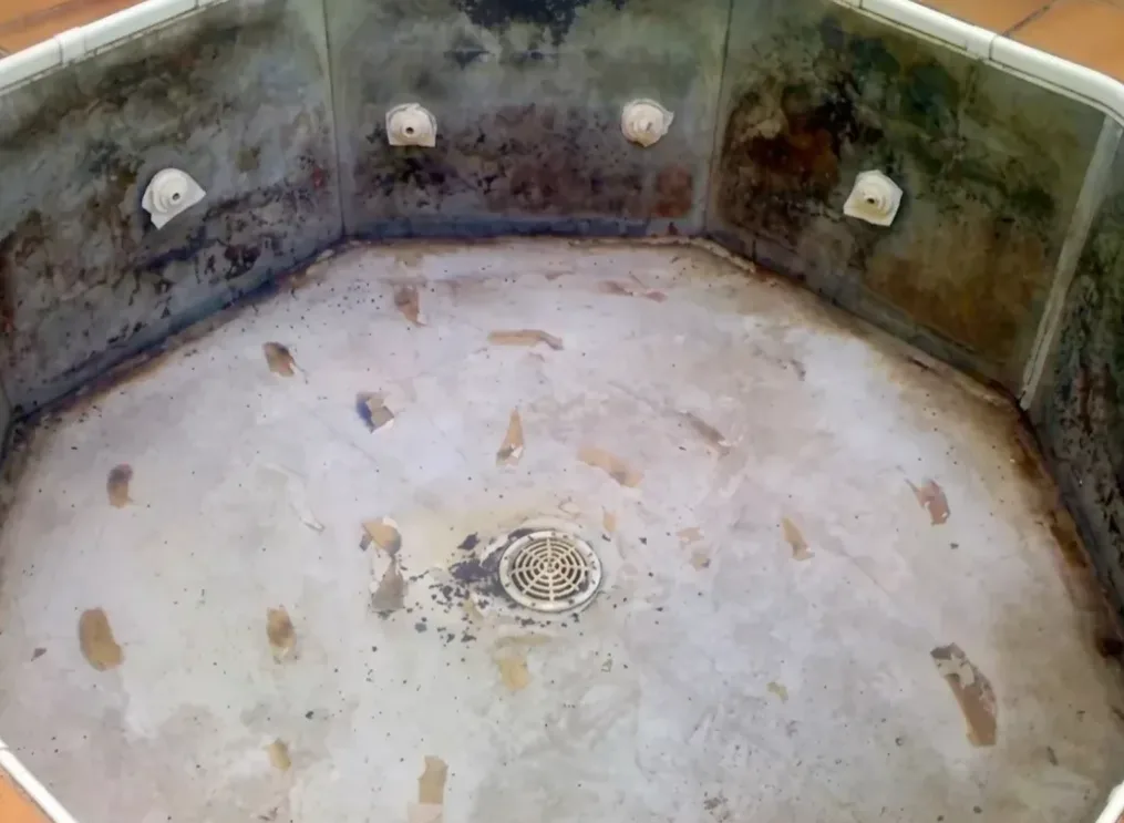 Vaso octogonal: de las paredes con verdín al gresite nuevo, antes de la obra